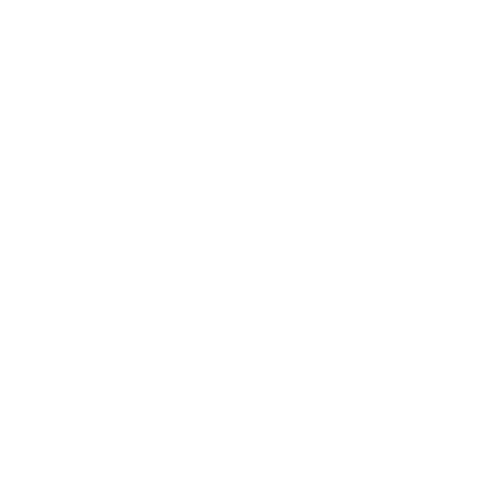 20+ years experience